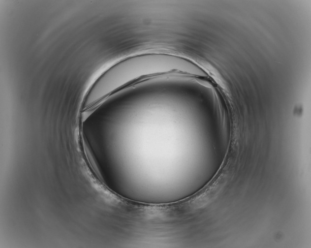 X0000090930904200708131451