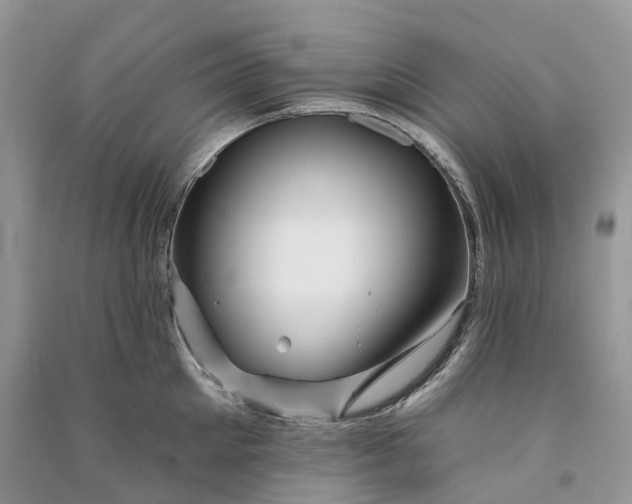 X0000090930905200708131451