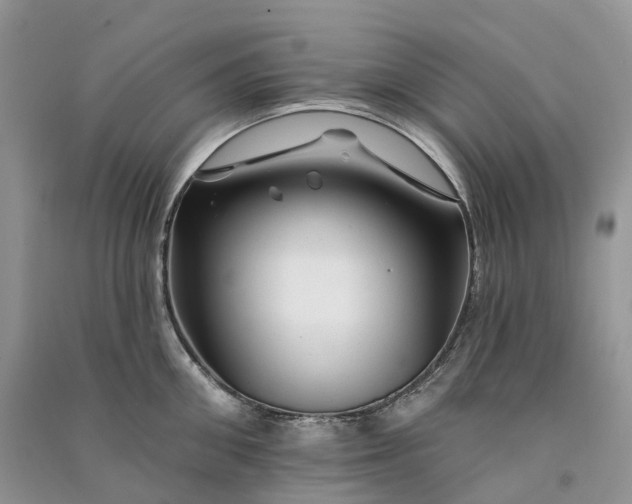 X0000090930906200708131451