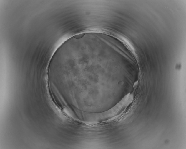 X0000090930907200708131451