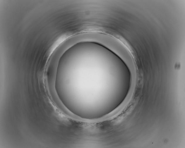 X0000090930909200708131451