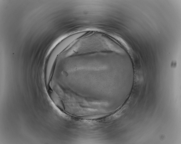 X0000090930910200708131451