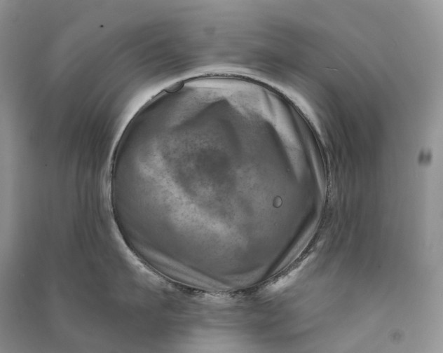 X0000090930911200708131451