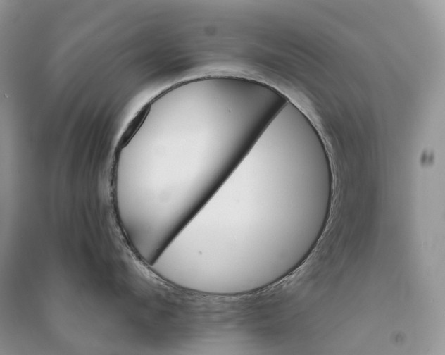 X0000090930912200708131451