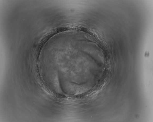 X0000090930913200708131450