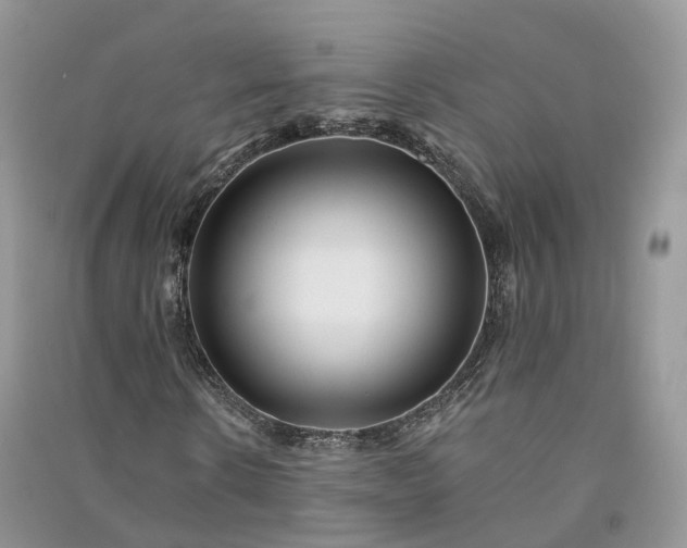 X0000090930914200708131450