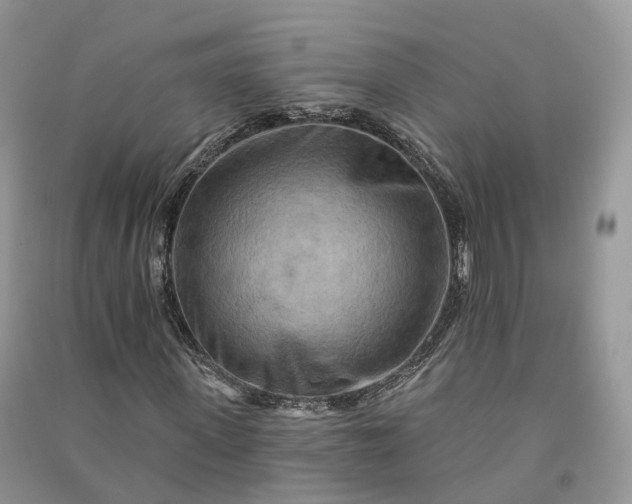 X0000090930915200708131450