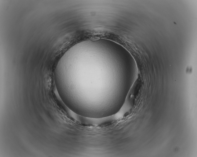 X0000090930916200708131450