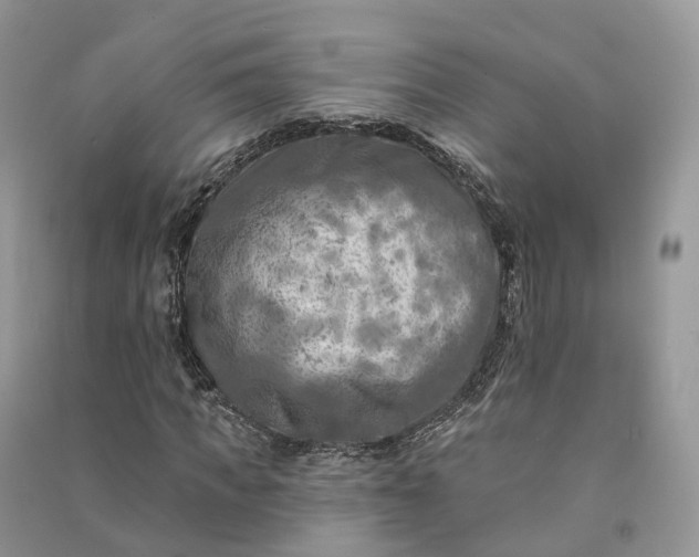 X0000090930917200708131450