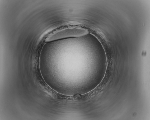 X0000090930920200708131450