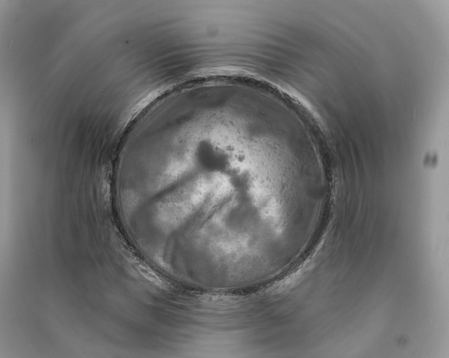 X0000090930921200708131450