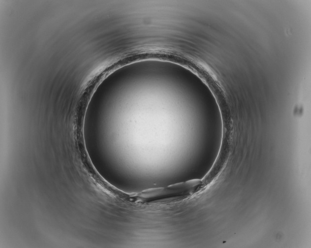 X0000090930922200708131450