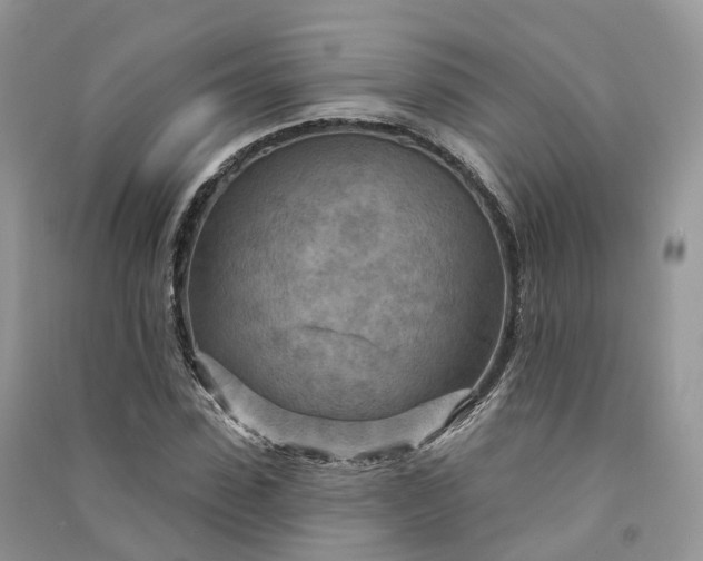 X0000090930923200708131450