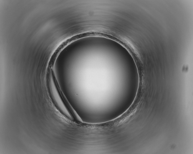 X0000090930924200708131450