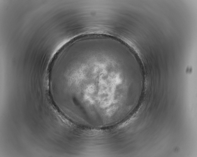 X0000090930925200708131450