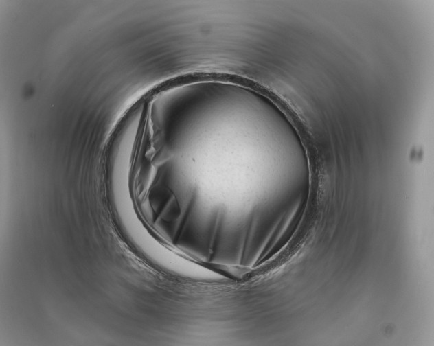 X0000090930926200708131450