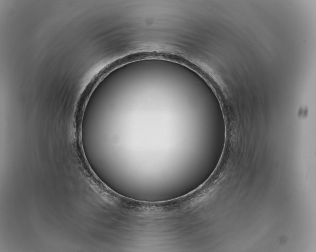 X0000090930927200708131450