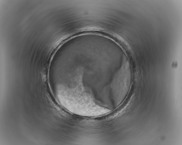 X0000090930929200708131450