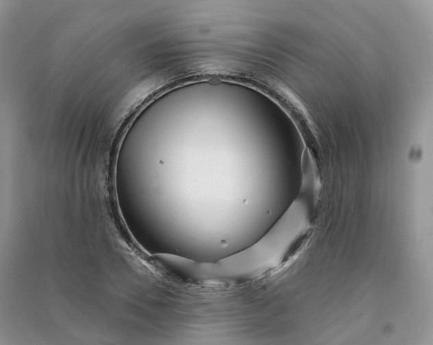 X0000090930930200708131450