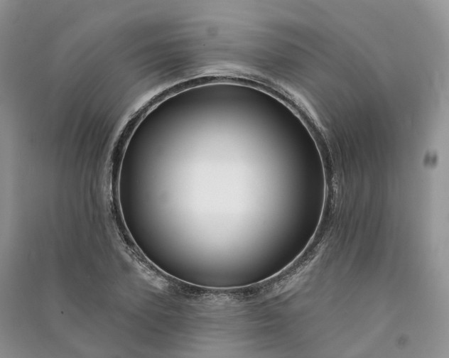 X0000090930931200708131450