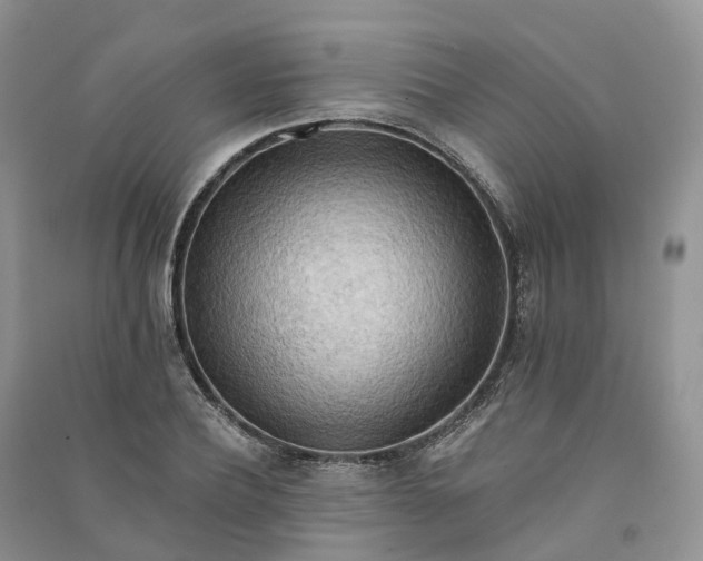 X0000090930932200708131450