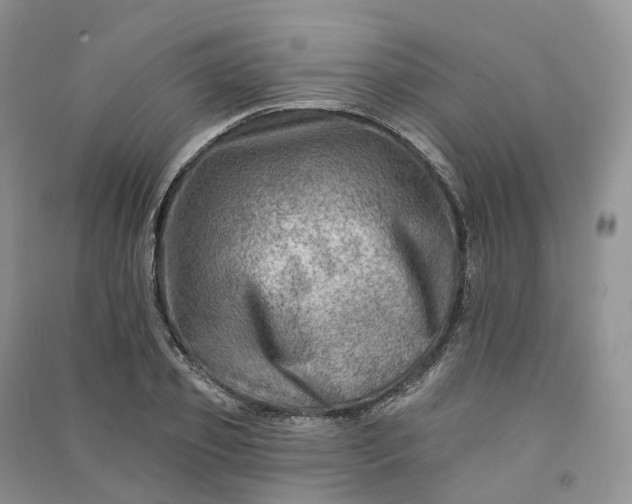 X0000090930933200708131450