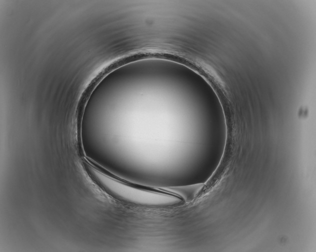 X0000090930934200708131450