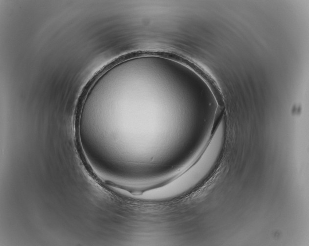 X0000090930935200708131451