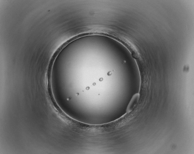 X0000090930936200708131451