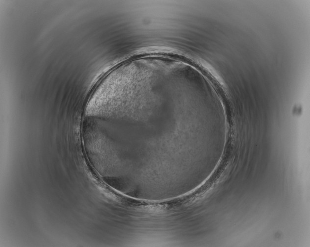 X0000090930937200708131451