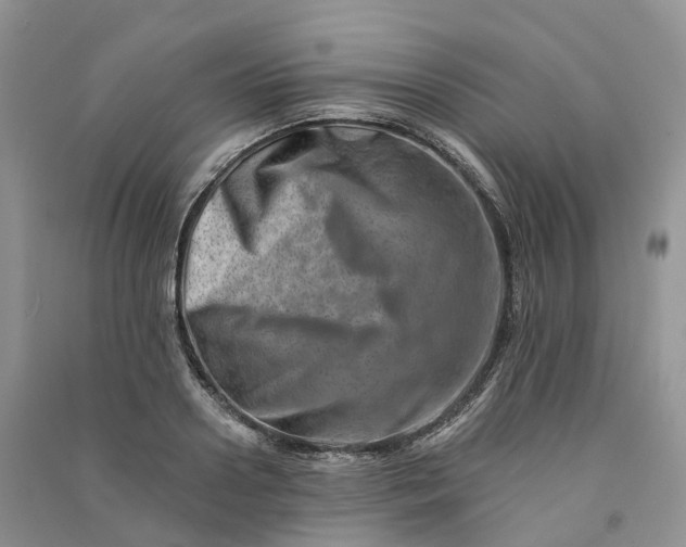 X0000090930938200708131451