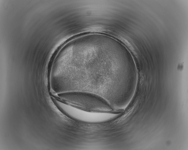 X0000090930939200708131451