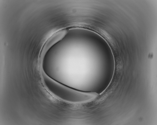 X0000090930940200708131451