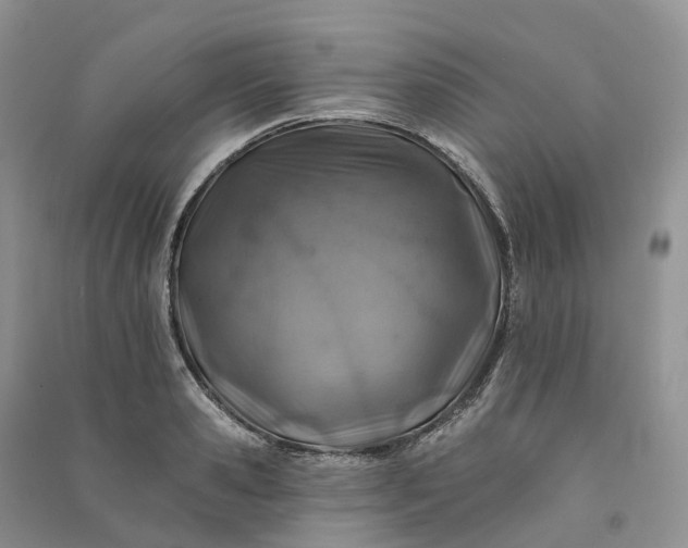 X0000090930941200708131451