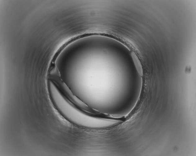 X0000090930942200708131451