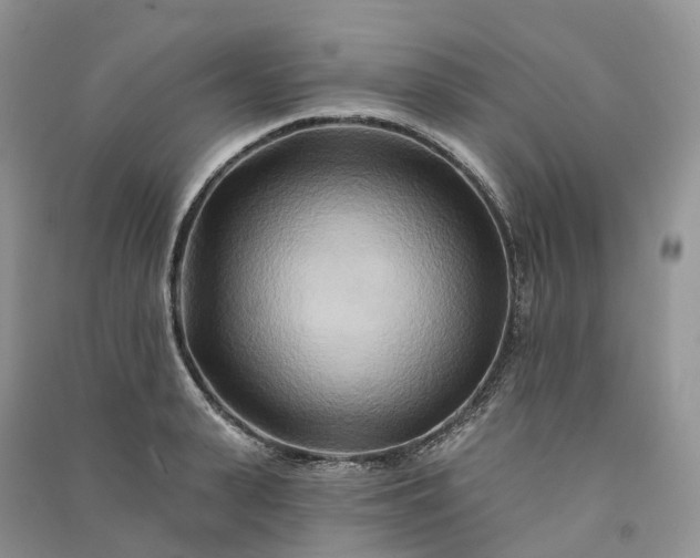 X0000090930943200708131451