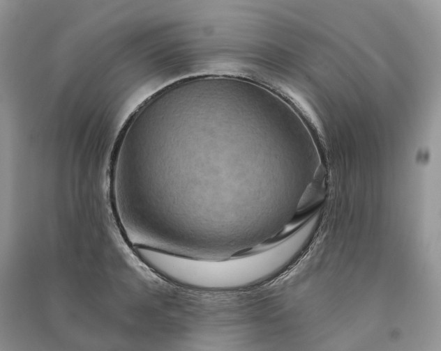 X0000090930944200708131451