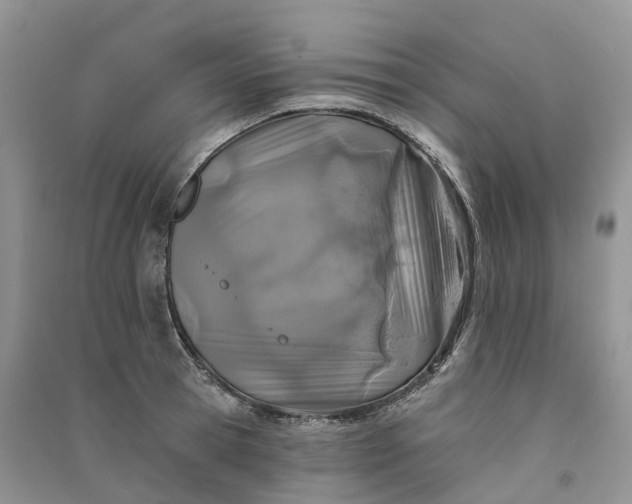 X0000090930945200708131451