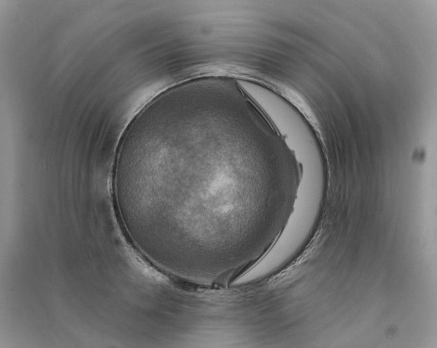 X0000090930946200708131451