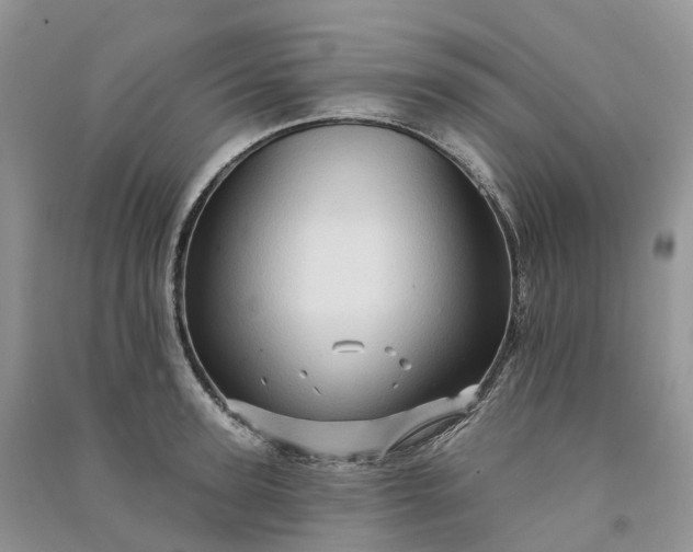 X0000090930947200708131451