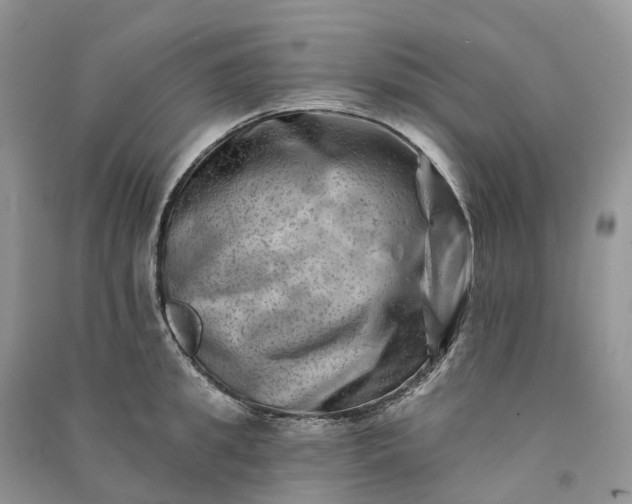 X0000090930949200708131451