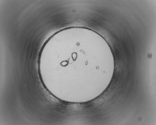 X0000090930950200708131451