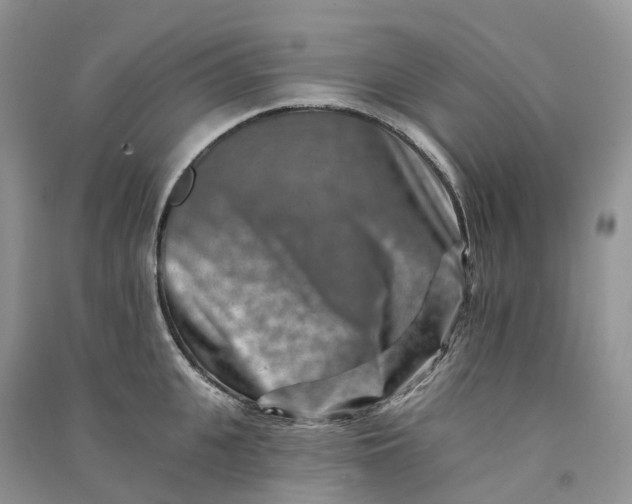 X0000090930951200708131451