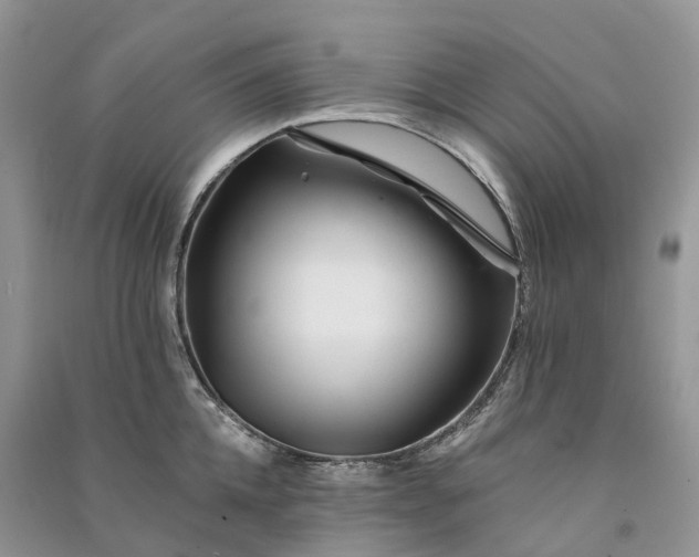 X0000090930952200708131451