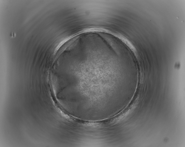 X0000090930953200708131451