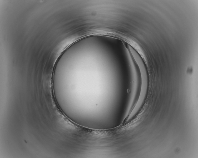 X0000090930954200708131451