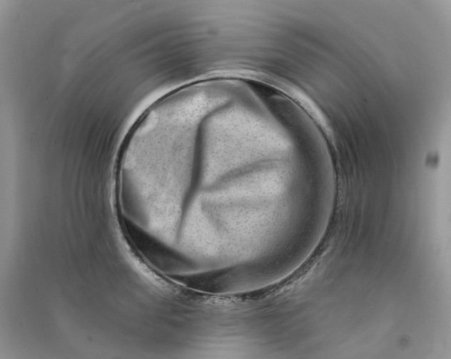 X0000090930955200708131451