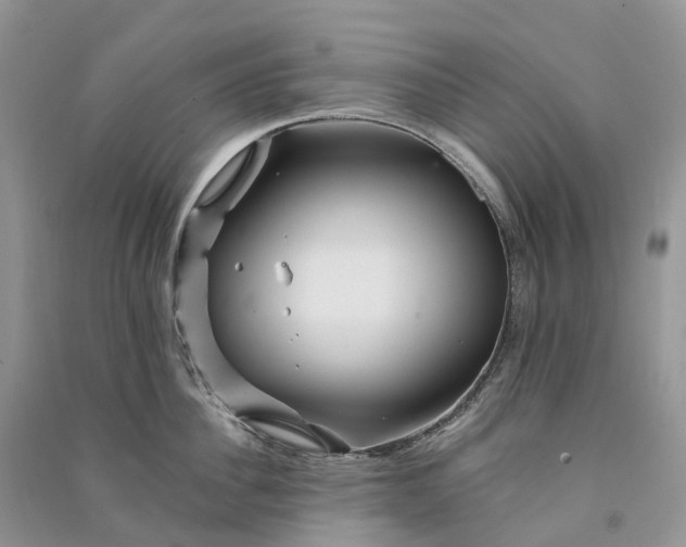 X0000090930956200708131451