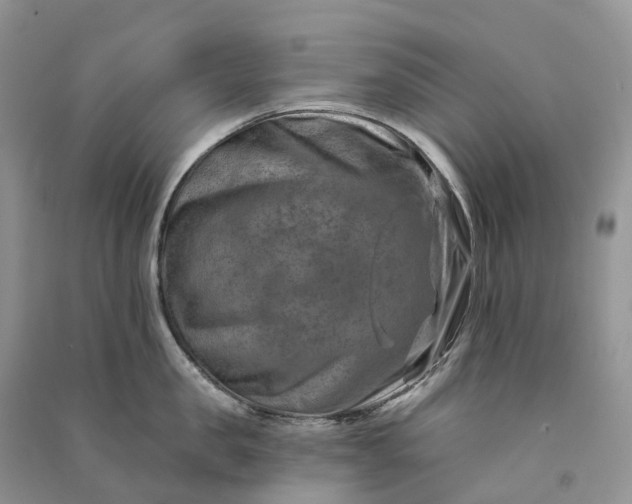 X0000090930957200708131451