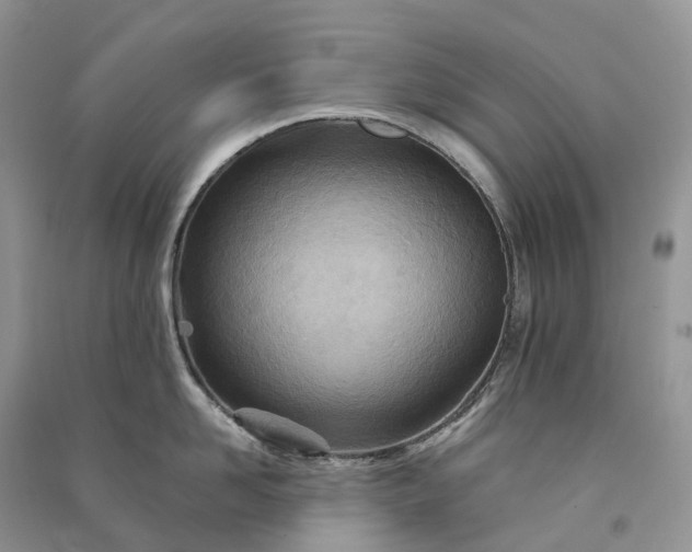 X0000090930958200708131451